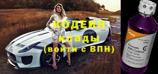 экстази Пересвет