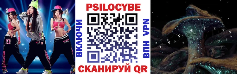 darknet как зайти  хочу наркоту  OMG ССЫЛКА  Кедровый  Псилоцибиновые грибы GOLDEN TEACHER 